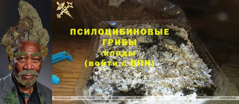 цены наркотик  Нягань  ссылка на мегу онион  Псилоцибиновые грибы Psilocybine cubensis 